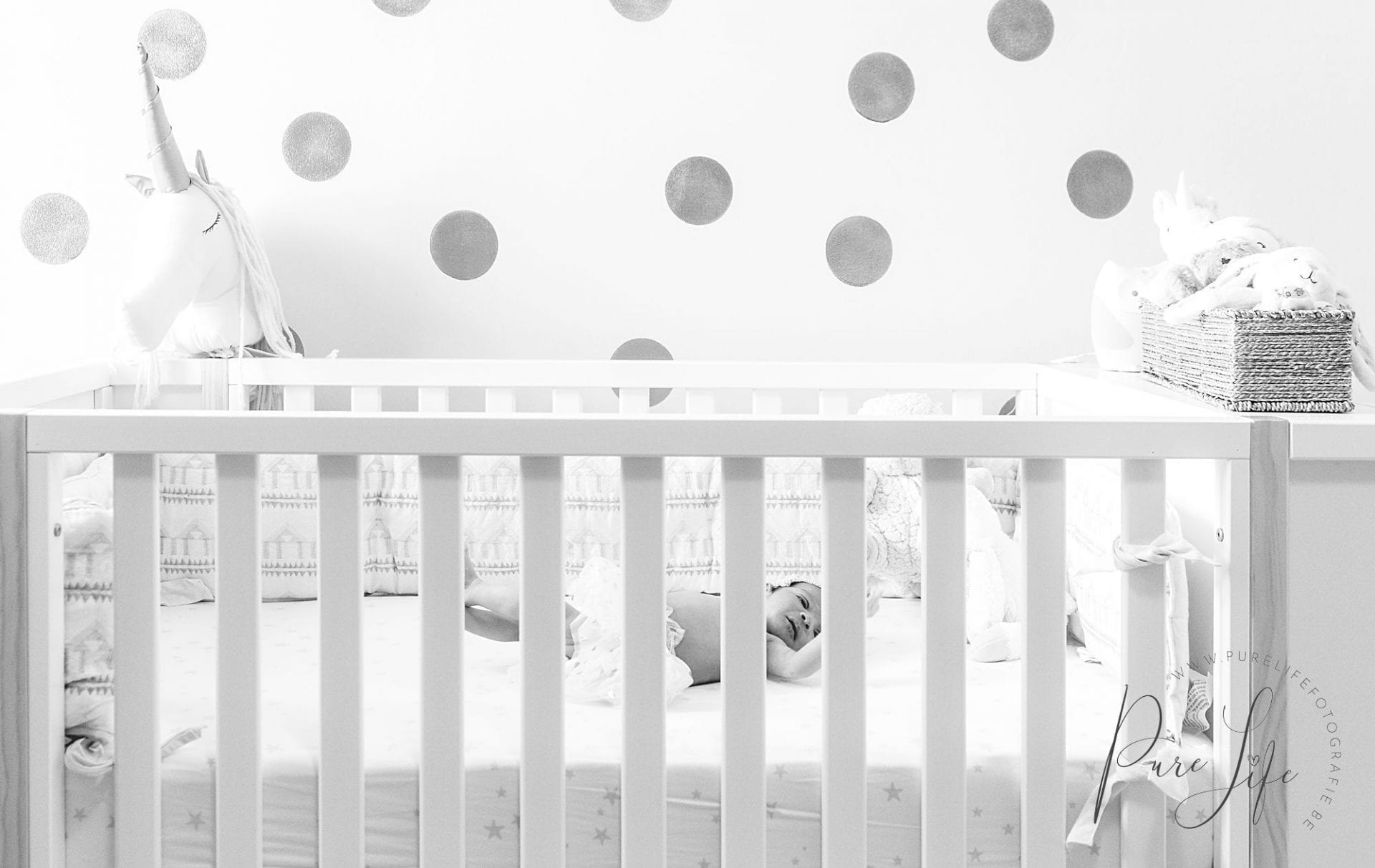 Specialized newborn photographer in Brussels and surroundings